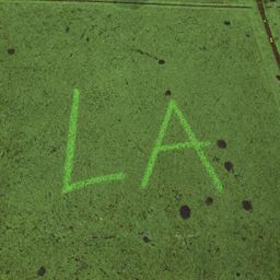 L.A