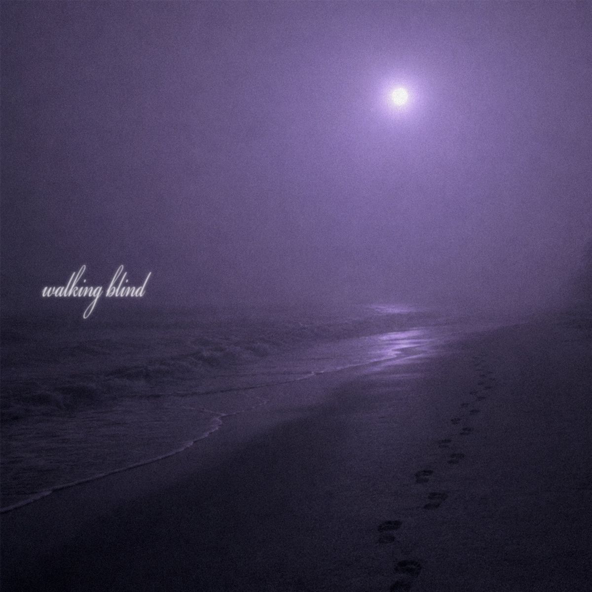 Cover art for Walking Blind