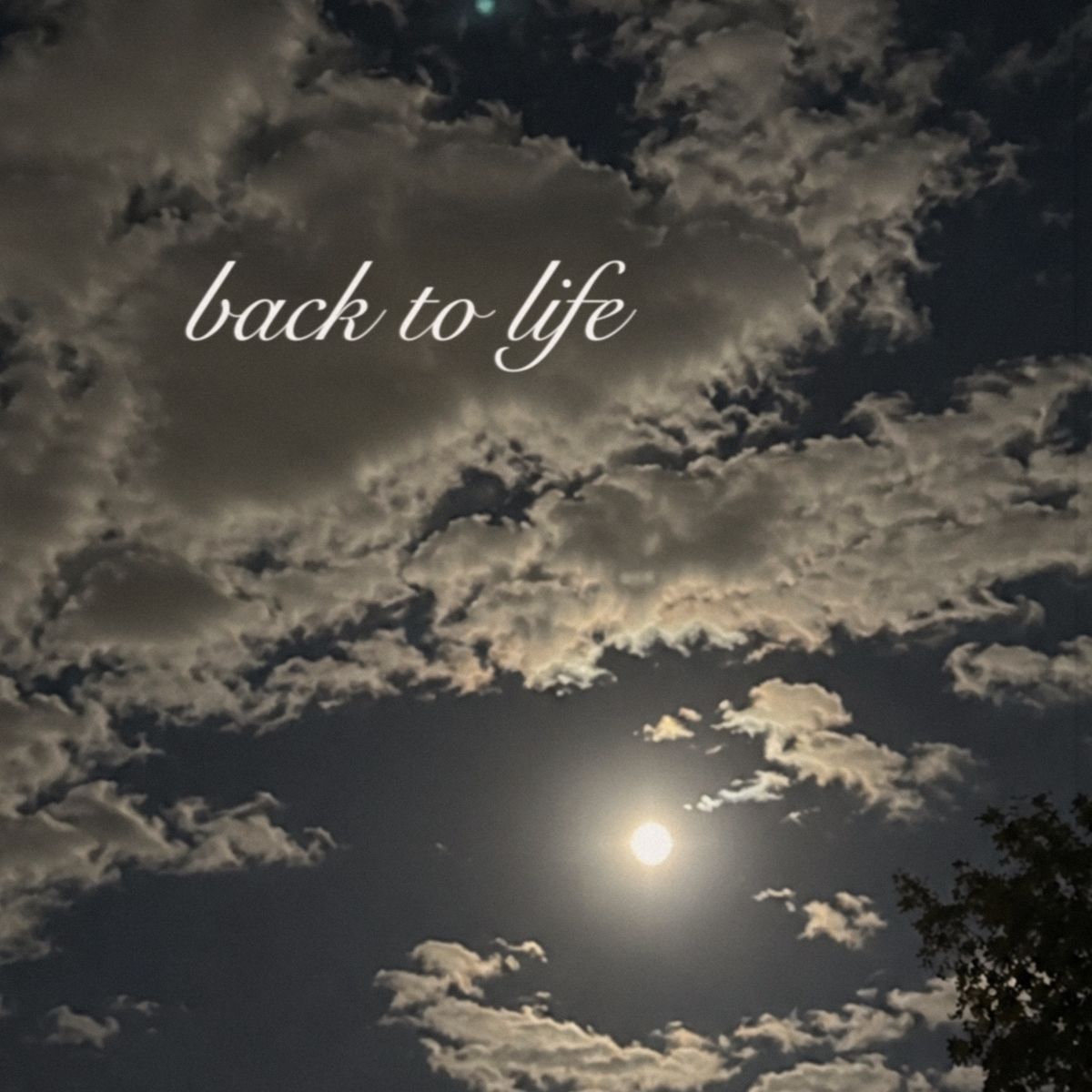 Cover art for Back To Life