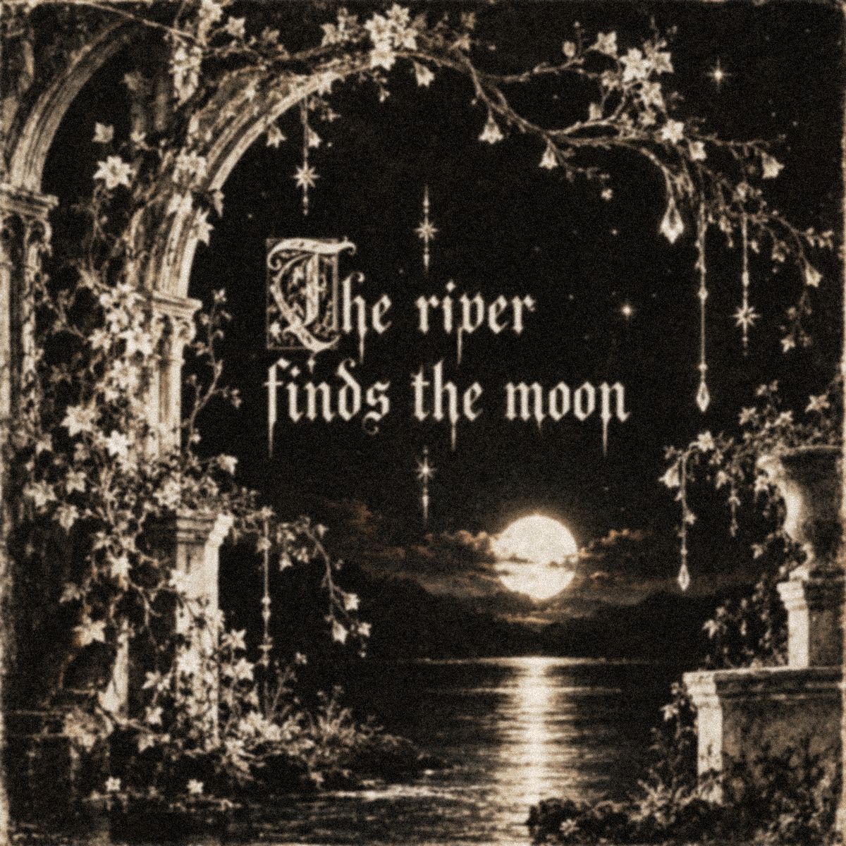 Cover art for A rose grew in the dark