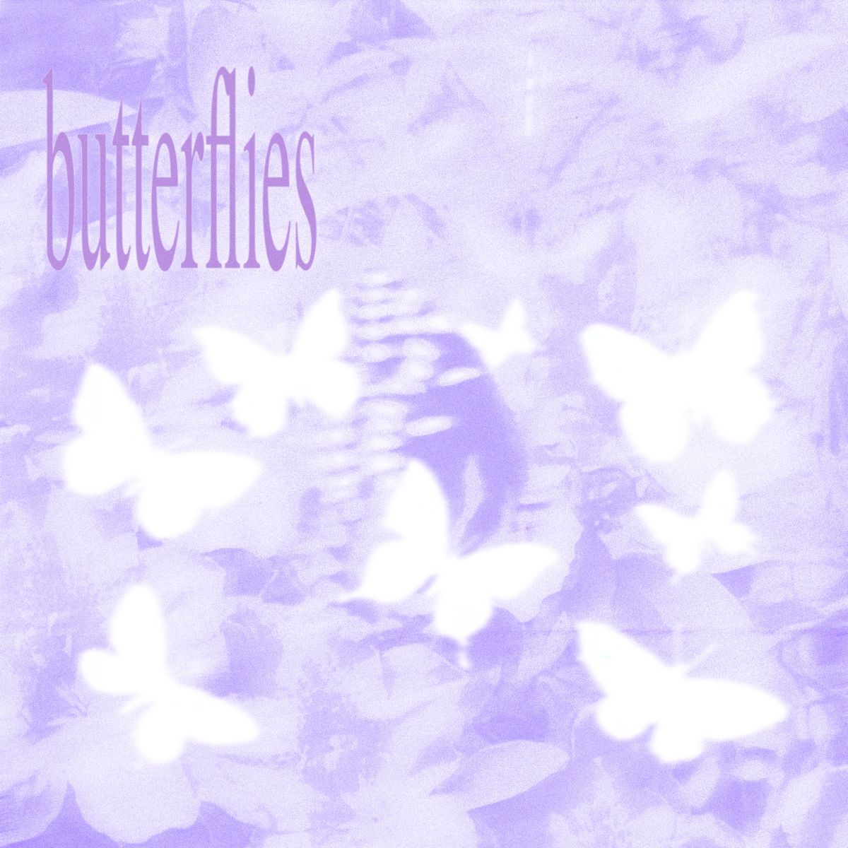 Cover art for butterflies