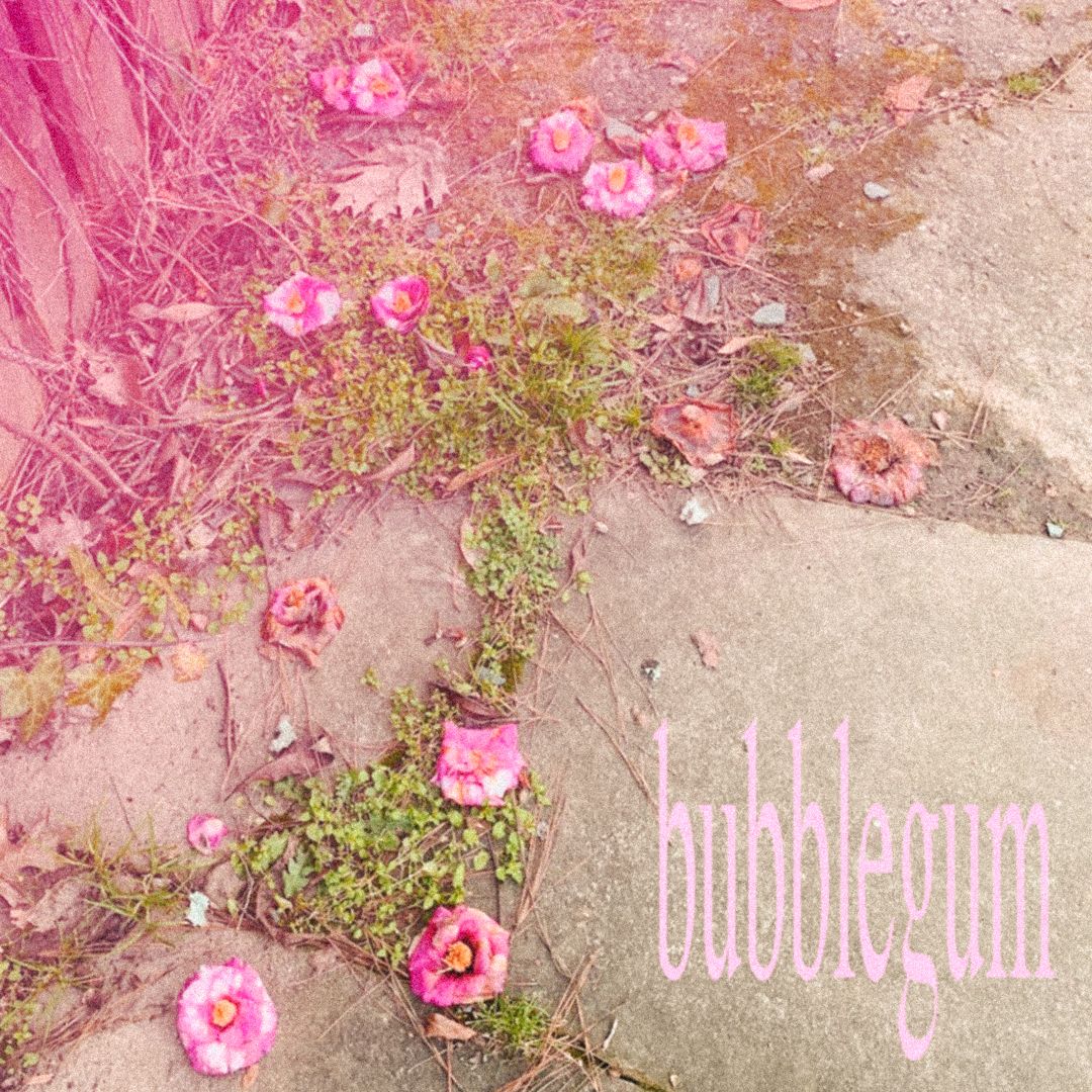 Cover art for bubblegum