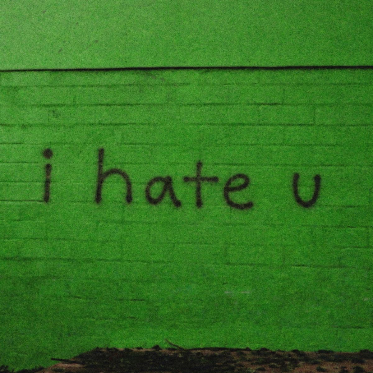 Cover art for I Hate You