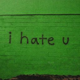 I Hate You