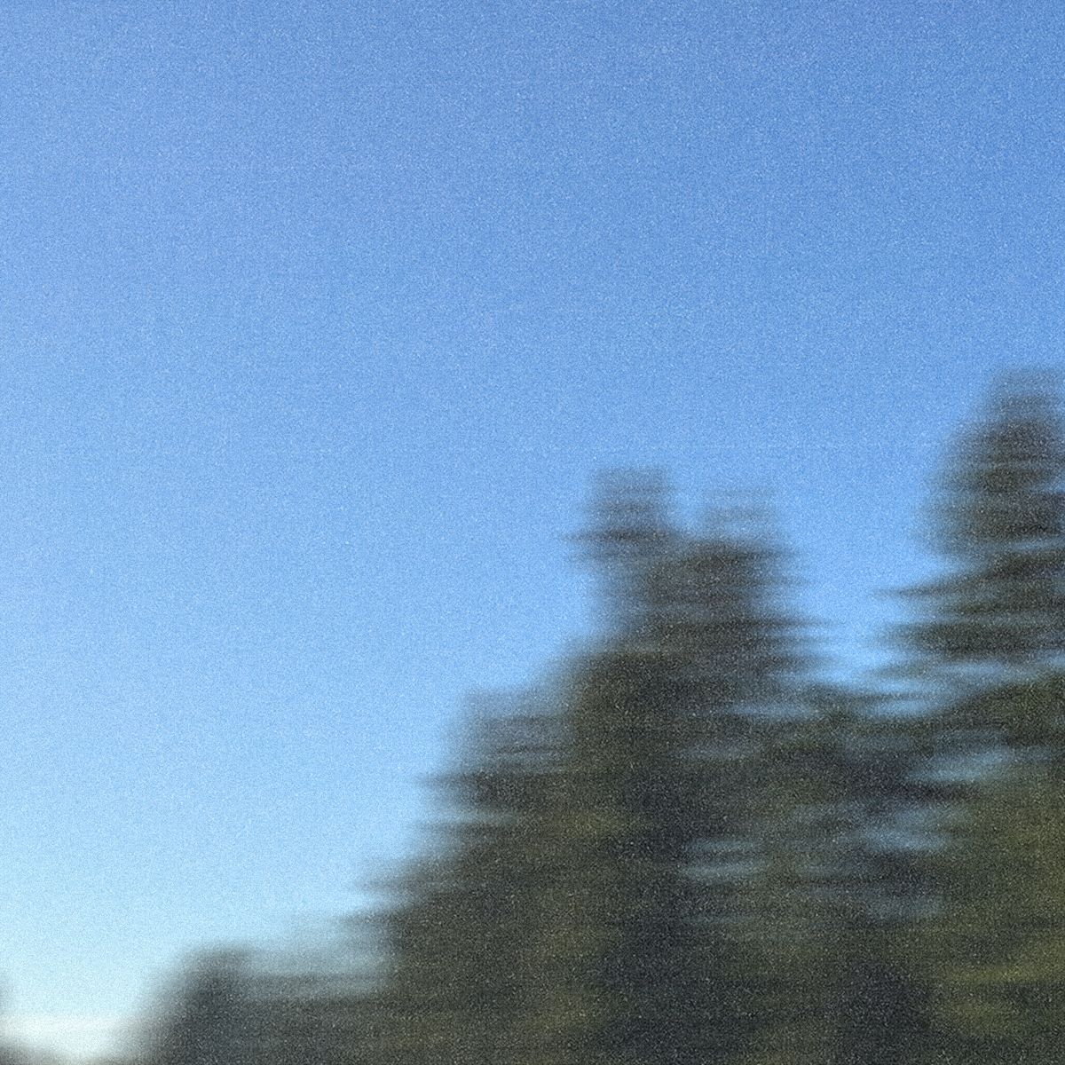 Cover art for cozy