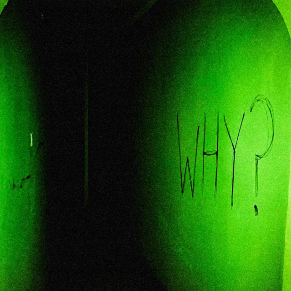 Cover art for WHY?
