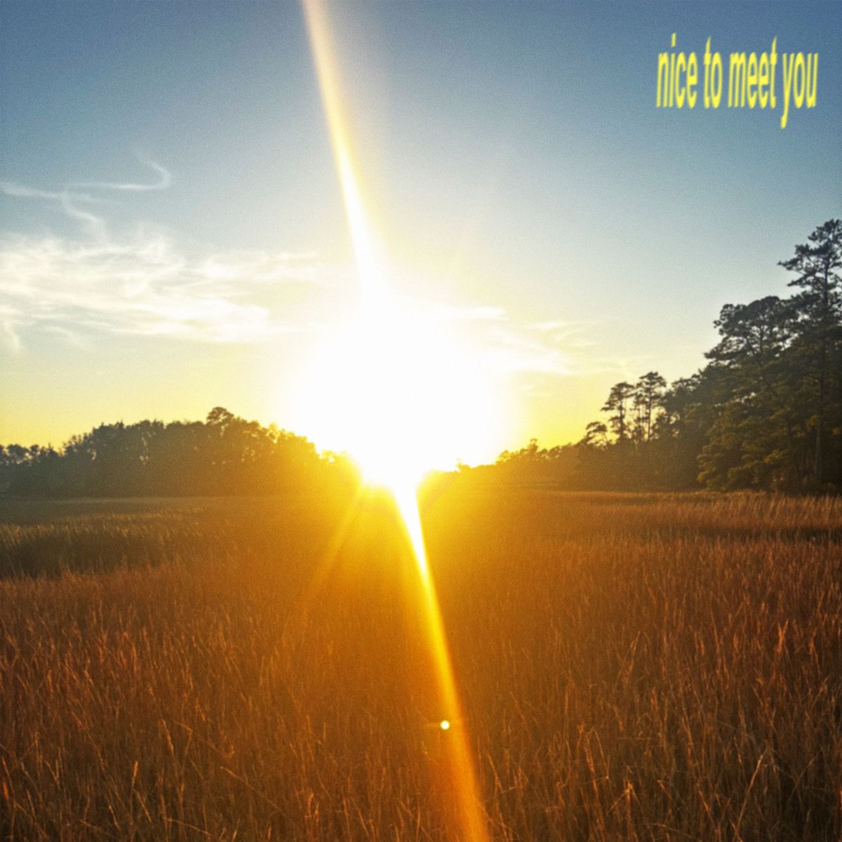 Cover art for nice to meet you