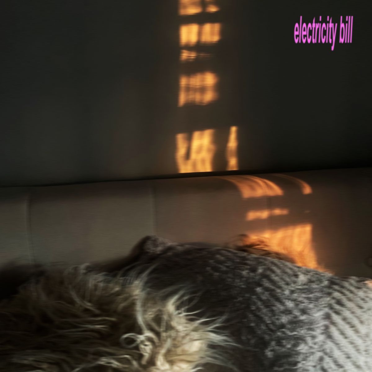 Cover art for electricity bill