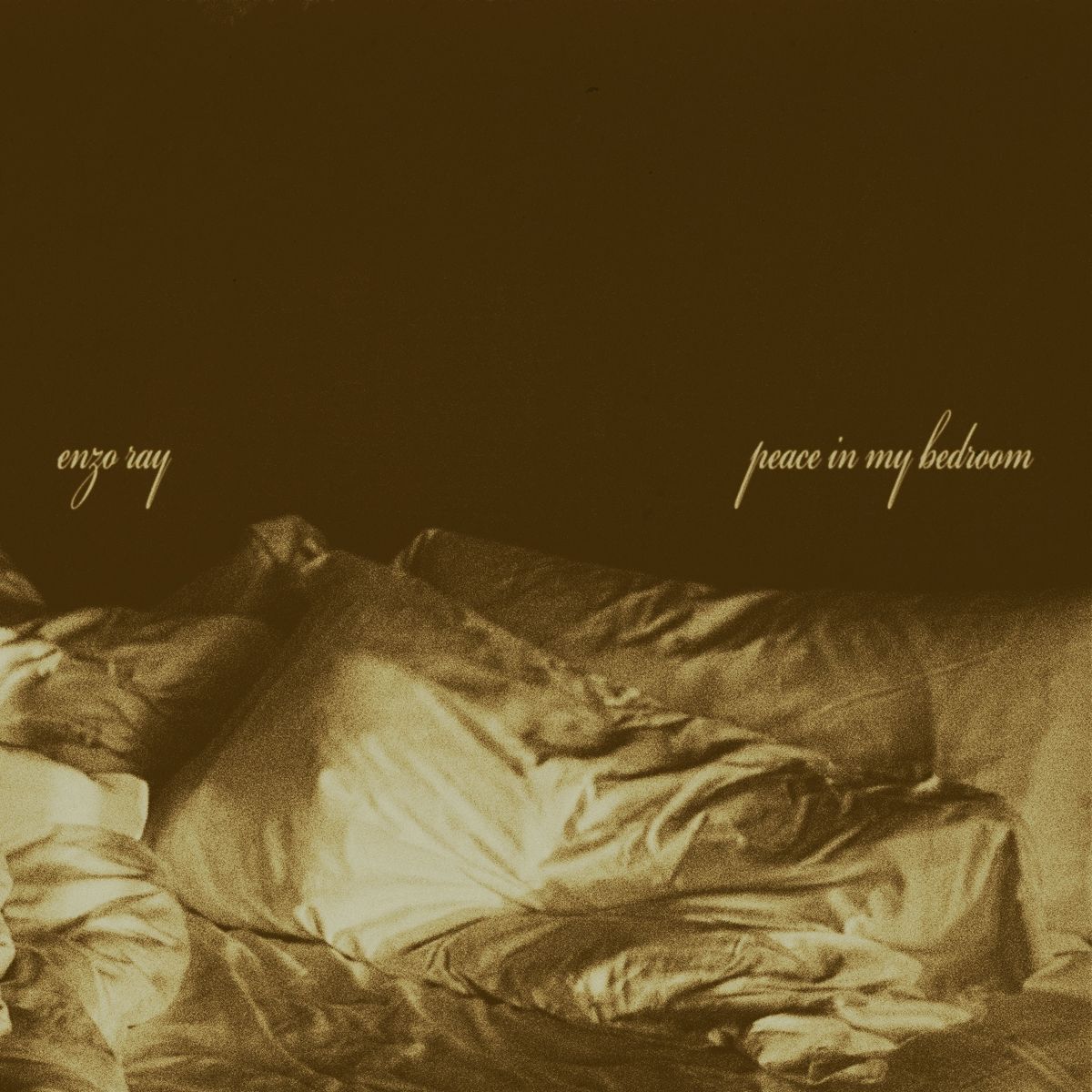 Cover art for Peace In My Bedroom