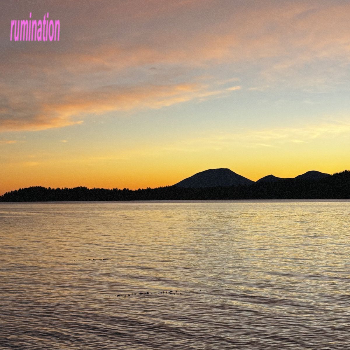 Cover art for rumination