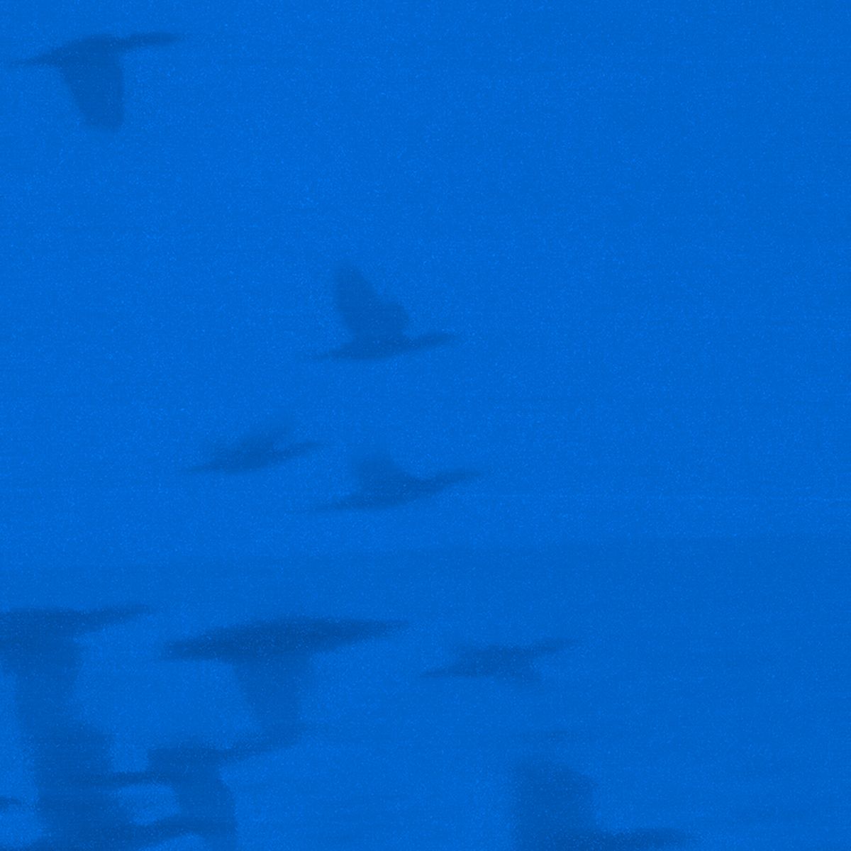 evening blue